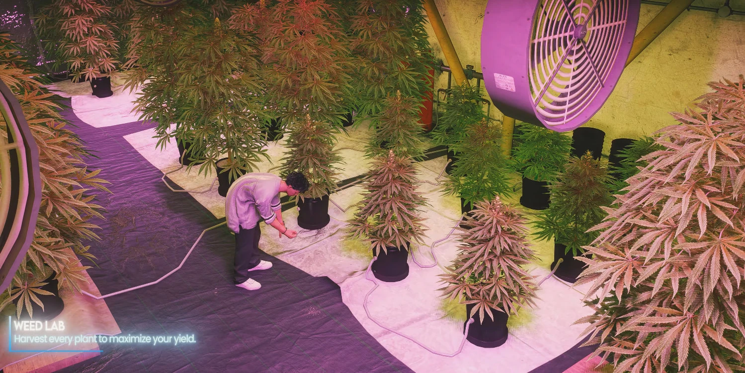 Orbit Weed-Complete Weed Growing, Processing & Smoking System for FiveM