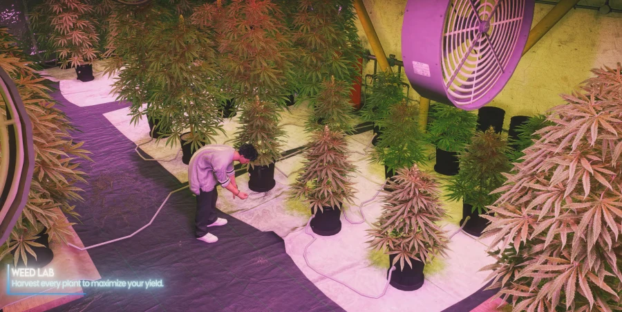 Orbit Weed-Complete Weed Growing, Processing & Smoking System for FiveM