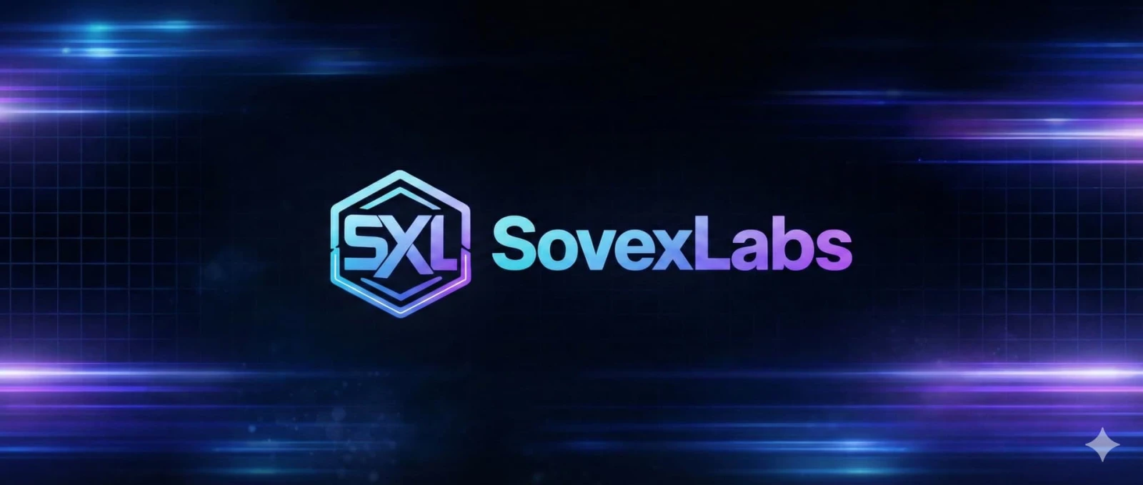 Sovex Garage