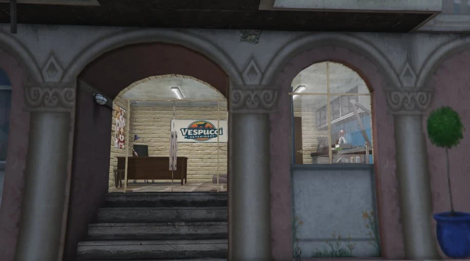 Vespucci Veterinary-Ped doctor