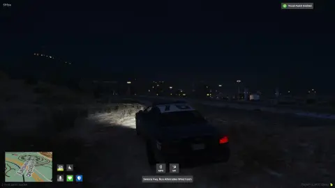 FiveM Epilepsy Mode Script