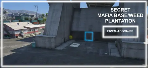 Secret Weed Plantation / Secret Mafia Base