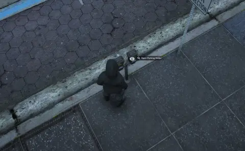 Parking Meter Robbery