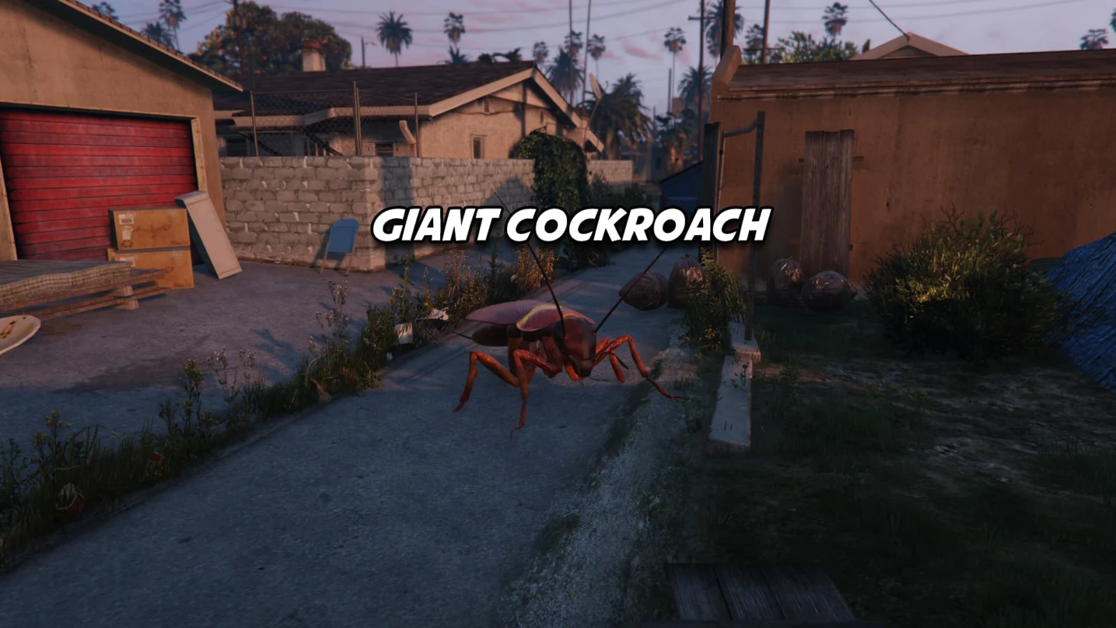 Giant Cockroach-Addon Animal Ped