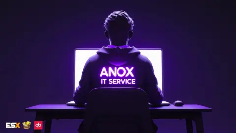 anox-itservice: Computer Repair Job