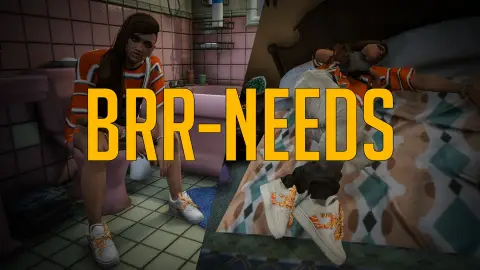 BRR-NEEDS