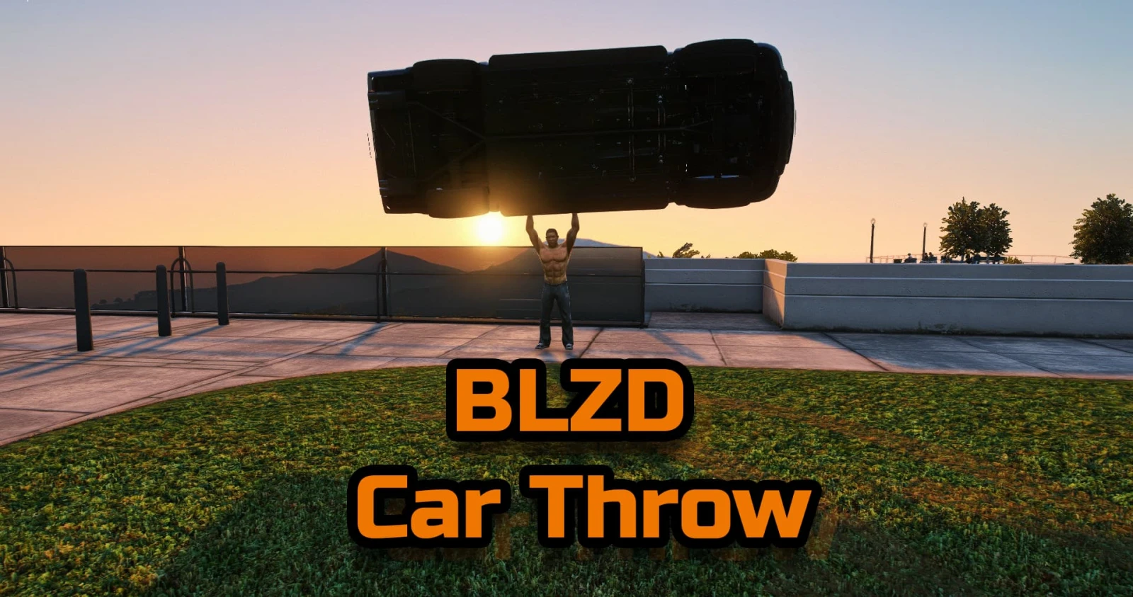 BLZD Vehicle Throw