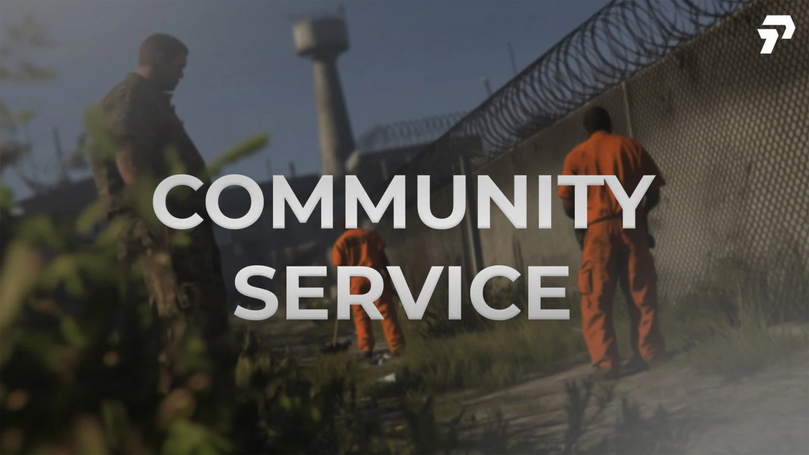 Peak Scripts: Community Service