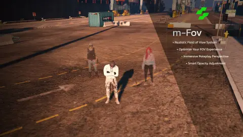 m-FOV | Realistic Field of View System