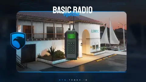 Basic Radio System | STG