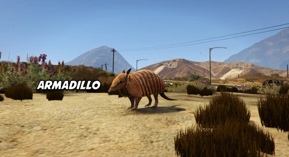 Armadillo-Addon Animal Ped
