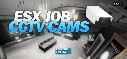 RLO-ESX Job CCTV Cams