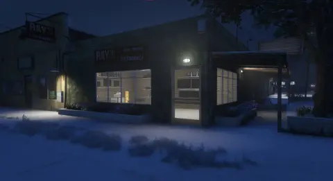 Ray's Electronics