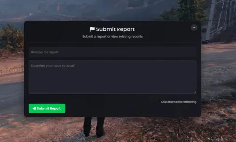 Report system